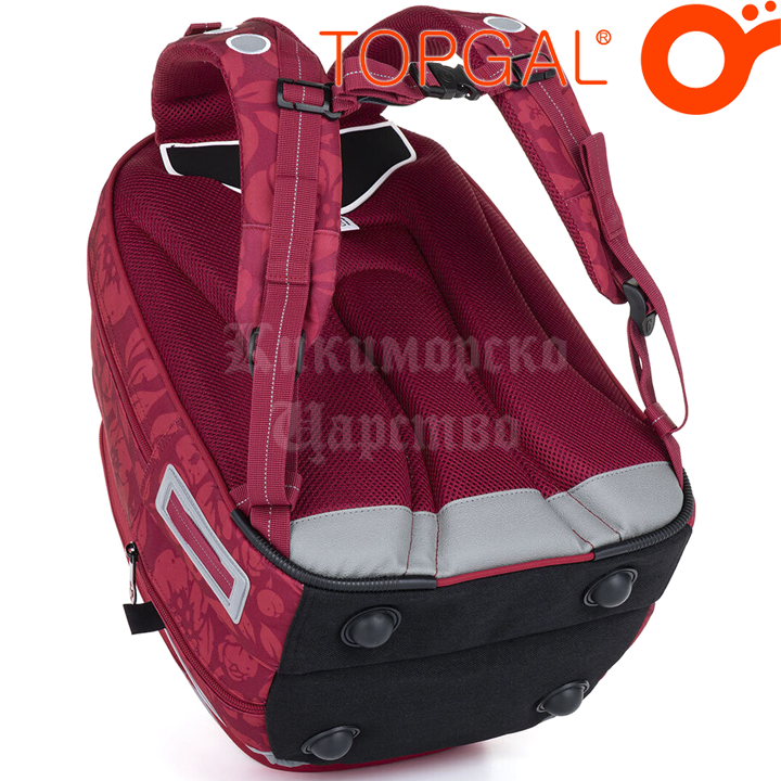 *Topgal Chilli    MIRA 23009 Red Flowers-1